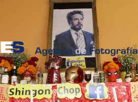 ofrenda a IronMan