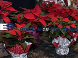 feria de la noche buena