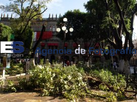Arreglos Zocalo  - ES imagen agencia de fotografía