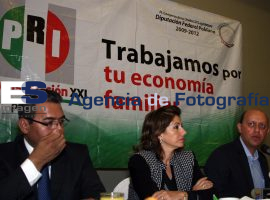 Diputados Federales PRI - ES imagen agencia de fotografía
