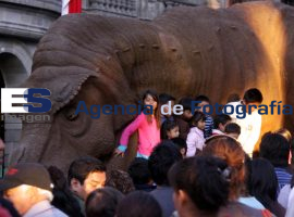 Dinosaurios - ES imagen agencia de fotografía