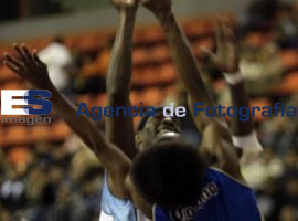 Angeles VS Abejas - ES imagen agencia de fotografía