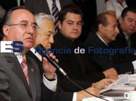 Búho Valentín Meneses - ES imagen agencia de fotografía