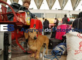 Viajeros en la Central de Autobuses de Puebla - ES imagen agencia de fotografía
