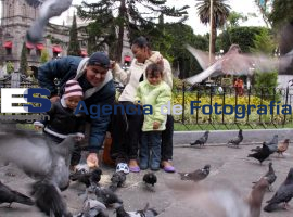 Vida Cotidiana - ES imagen agencia de fotografía