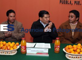 Carta Intención de Compra - ES imagen agencia de fotografía