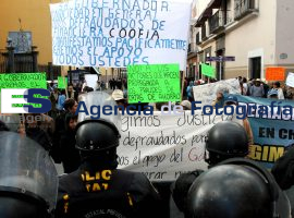 Informe y Manifestaciones  - ES imagen agencia de fotografía