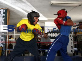 Seven Boxing - ES imagen agencia de fotografía