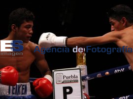 Campeonato Mundial Peso Paja - ES imagen agencia de fotografía