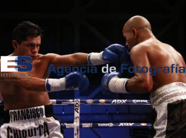 Eliminatoria Minimosca AMB - ES imagen agencia de fotografía