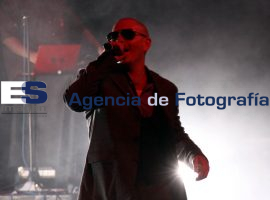 Pitbull en Concierto - ES imagen agencia de fotografía
