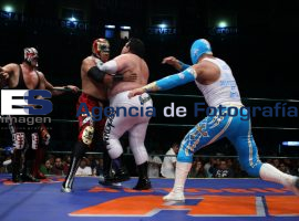 Luchas 15-02-2010 - ES imagen agencia de fotografía