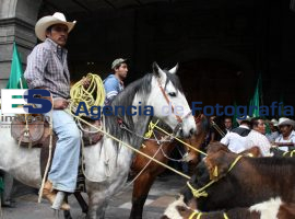 Marcha UNTE  - ES imagen agencia de fotografía