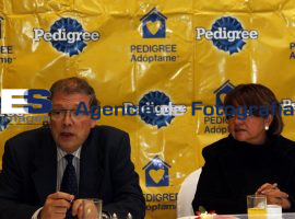 Pedigree Adóptame - ES imagen agencia de fotografía