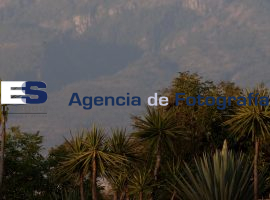 Cerro de la Malinzi - ES imagen agencia de fotografía