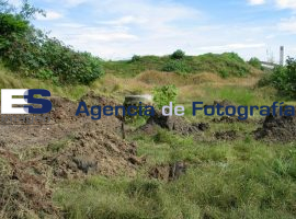 Parque Metropolitano - ES imagen agencia de fotografía