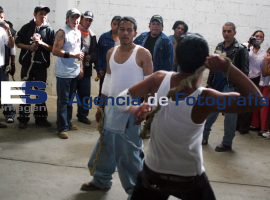 Combate de Judios - ES imagen agencia de fotografía