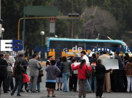 Manifestacion Padres de Familia  - ES imagen agencia de fotografía