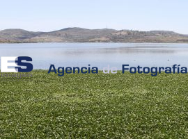Presa de Valsequillo - ES imagen agencia de fotografía