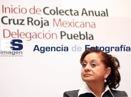 colecta cruz roja Cámaras de Seguridad en el Centro  - ES imagen agencia de fotografía