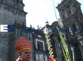 Domingo de Ramos  - ES imagen agencia de fotografía