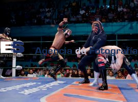 Luchas  - ES imagen agencia de fotografía