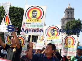 Campesinos chiapanecos se manifiesta en el zócalo  - ES imagen agencia de fotografía