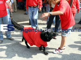 Zavala en San jorge - ES imagen agencia de fotografía