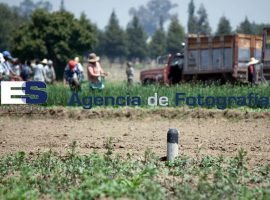 Frente de Pueblos en Defensa de la Tierrra y el Agua  - ES imagen agencia de fotografía