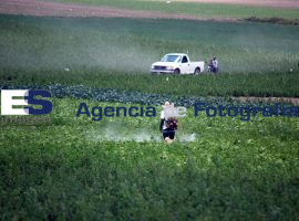 Frente de Pueblos en defensa de la Tierra y el Agua - ES imagen agencia de fotografía