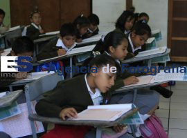 Prueba Enlace Primarias - ES imagen agencia de fotografía