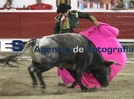 Novilleros en el Relicario - ES imagen agencia de fotografía