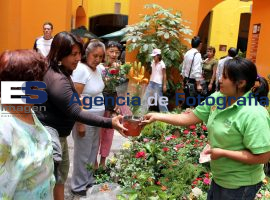Feria de Mayo  - ES imagen agencia de fotografía