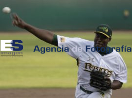 Beisbol Pericos Vs Leones  - ES imagen agencia de fotografía