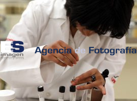 Presentan proyectos de sustentabilidad ecológica  - ES imagen agencia de fotografía