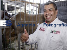 Zavala se reune con ganaderos en Teziutlán  - ES imagen agencia de fotografía