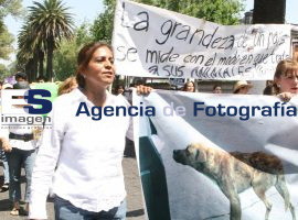 Manifestación No al Matrato Animal - ES imagen agencia de fotografía