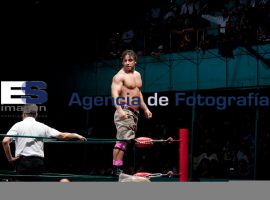Luchas  - ES imagen agencia de fotografía