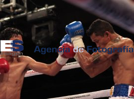 Fofo Hernández Vs. El Flaco Canija Box - ES imagen agencia de fotografía