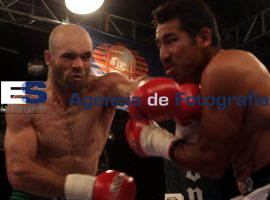 Rigoberto "El Español" Álvarez Vs. Mauro Romero BOX - ES imagen agencia de fotografía