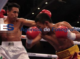 Julio Cesar Miranda Vs. Mepranu Riche - ES imagen agencia de fotografía