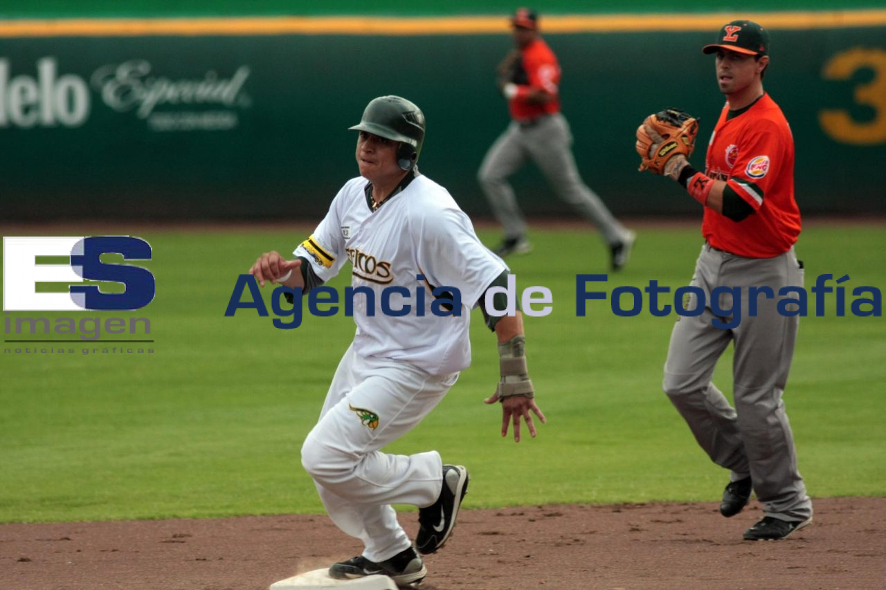 Beisbol Pericos Vs Leones - Agencia de Fotografía Es Imagen