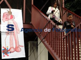 Aparece proganda de la Pantera Rosa - ES imagen agencia de fotografía
