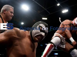 Luchas  - ES imagen agencia de fotografía
