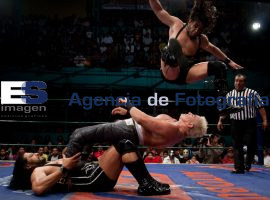 Luchas  - ES imagen agencia de fotografía