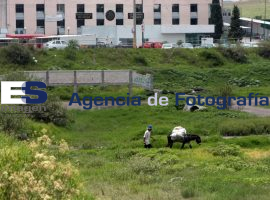 Vecinos Colonia Lomas San Miguel - ES imagen agencia de fotografía