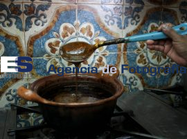 Mole - ES imagen agencia de fotografía