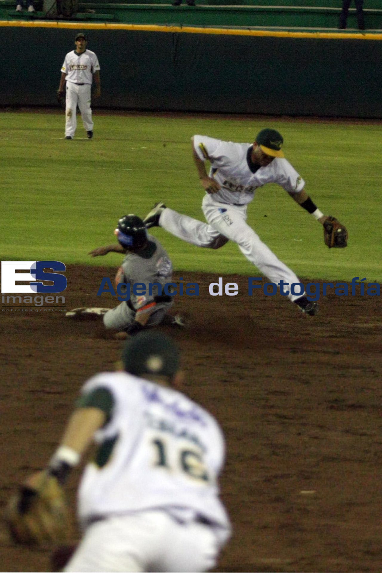 Beisbol Pericos Vs Leones - Agencia de Fotografía Es Imagen