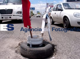Baches  - ES imagen agencia de fotografía
