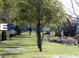 Continua controversia en el Jardín del Arte - ES imagen agencia de fotografía